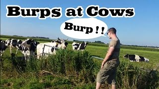 Burps At Cows You Wont Believe What Happens [upl. by Brenn763]