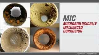 Microbiologically Influenced Corrosion Introduction Module [upl. by Nelie]