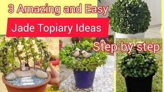 3 Amazing and Easy Jade Topiary IdeasStep by step Topiary Ideas आसान तरीके से बनाएं Jade Topiary [upl. by Rudie]