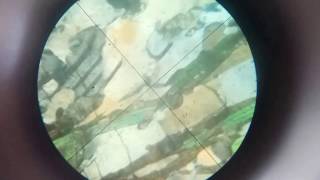 Study of Gneiss in thin section under microscope [upl. by Ecnahc537]