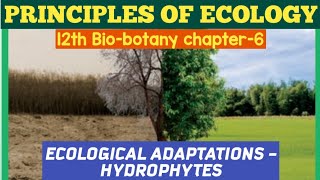 12th biobotany chapter6 Principles Of Ecology ECOLOGICAL ADAPTATIONS HYDROPHYTES 12th SCERT [upl. by Zadoc927]