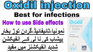 oxidil injection used for in urdu Ceftriaxone injectionOxidil injection side effectsDose [upl. by Adnavoj658]