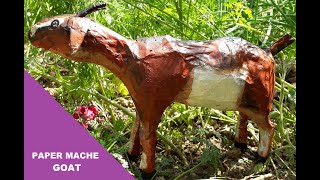 PAPER MACHE GOAT [upl. by Mylander39]