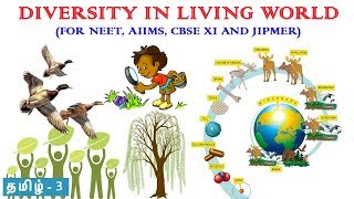 Diversity in the Living World in Tamil 3 Taxonomy Systematics amp Taxonomic Hierarchy Rajus Biology [upl. by Ydor]