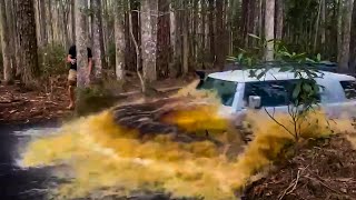 Exploring Osceola National Forest with 2 FJ Cruisers and a Rivian R1T [upl. by Kopp]