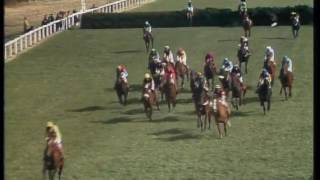 1977 Grand National [upl. by Whiteley65]