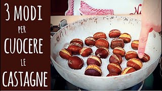 3 MODI PER CUOCERE LE CASTAGNE  How to Cook Chestnuts [upl. by Novehs]