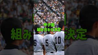 甲子園大会組み合わせ決定 高校野球 高校野球2024 [upl. by Cindra777]