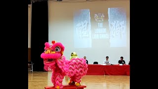 UK Lion Dance Tournament 2024  英國忠正龍獅團 The London Lion Dance [upl. by Claman]