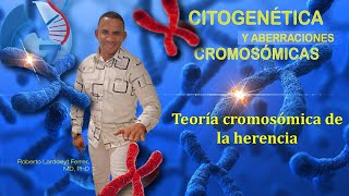 Short video motivacional de la Conferencia 3 La Teoría cromosómica de la herencia [upl. by Nairrot264]