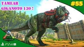 TAMEAR GIGANOTOSAURIO 130 solo  LA REVANCHA  ARK 55  Servidor Oficial PVE [upl. by Onfroi507]