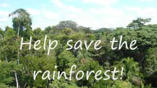 Rainforests Important and Threatened [upl. by Cogen]