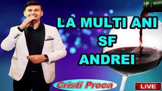 Cristi Proca  La multi ani ANDREI [upl. by Eesdnil562]