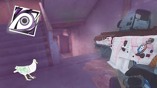 Jackal Operator Gameplay  Rainbow Six Siege [upl. by Pomcroy]