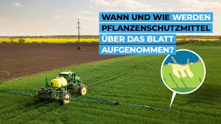 Wann und wie werden Pflanzenschutzmittel über das Blatt aufgenommen [upl. by Aelahs]