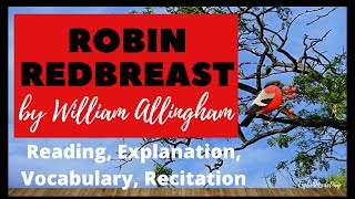 Robin Redbreast by William AllinghamPoemReading Explanation Vocabulary Recitation [upl. by Nellek117]