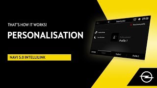 Navi 50 IntelliLink  Personalisation  Thats How It Works [upl. by Hairehcaz]