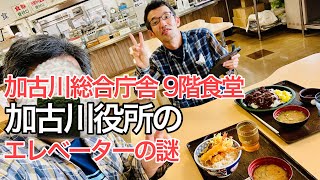 加古川総合庁舎９階食堂で天丼食べた、市役所のエレベーターの謎って知ってた？【加古川市】【市役所食堂】 [upl. by Auqinahc460]