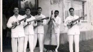 EL PAJARO CARPINTERO  CONJUNTO JAROCHO VILLA DEL MAR DE ANGEL VALENCIA  SON JAROCHO [upl. by Kammerer239]