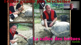 Tortue géante des Seychelles  Visite de la Vallée des Tortues  Sorède [upl. by Georgette]