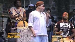 Cest Bon LIVE by Salif Keita African Music Hertme Festival 2013 [upl. by Boynton]