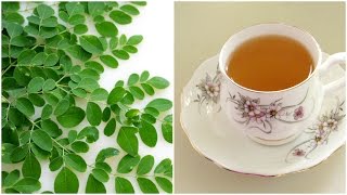 Moringa Weight Loss Tea  ThyroidPCOS Tea  Lose 5 kgs amp Get Rid Of Stubborn Belly Fat With Moringa [upl. by Ahsirhcal]