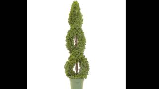 Topiary Ideas For Your Home [upl. by Ona]