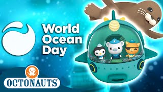 ​Octonauts  🌎 World Ocean Day 3 Hour Special 🌊  180 Mins Compilation  Underwater Sea Education [upl. by Ahsienal]