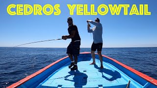 WORLD CLASS FISHING  Cedros Fishing Part 1 of 2  HONEY HOLE FISHING [upl. by Rhpotsirhc]