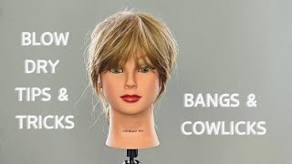 Blow Dry Tips amp Tricks  Bangs amp Cowlicks [upl. by Glorianna159]