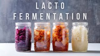 Simple guide to fermentation [upl. by The]