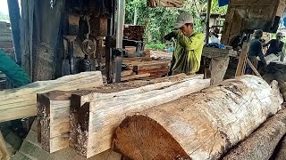 Kayu getah dan kayu Pulai [upl. by Down]