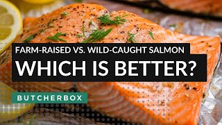 FarmRaised vs WildCaught Salmon Which is Better food recipe cooking shorts seafood [upl. by Vassili802]