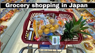 Daily grocery shopping in July  Japanese supermarket 100¥ shop [upl. by Ahsiri647]