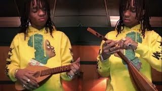 SWAE LEE PLAYS THE GUITAR Baroqulele [upl. by Alber]