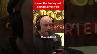 Joe Rogan and Andrew Huberman The Science Behind Why Cold Plunges Make You Feel So Good [upl. by Fidole]