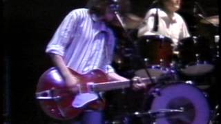 The Grapes of Wrath Live at the Amnesty International Benefit1988 [upl. by Bodi517]