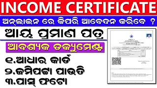 How to Apply Income Certificate in 2024 l Income Certificate Apply Odisha Income Certificate Online [upl. by Fotinas]