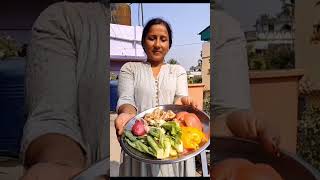 Affordable Composting in Bucket with Green Mix Powder [upl. by Ken]