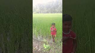 Kadan vankiya vivasayi song 🌾🌾🌾🌾🙏🙏🙏🙏 [upl. by Comethuauc]