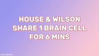 House amp Wilson share 1 brain cell hughlaurie housemd robertseanleonard [upl. by Nylirrej360]