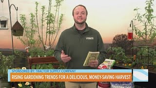 Rising Gardening Trends for a Delicious Moneysaving Harvest [upl. by Chien235]