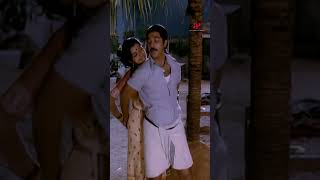 NethuRathiriYamma SakalakalaVallavan KamalHaasan Ilaiyaraaja movie shorts superhitsong [upl. by Daune696]