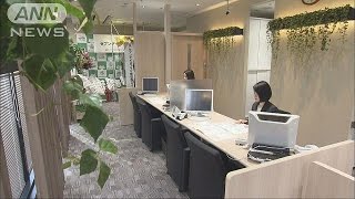 りそな銀行、僅か3人のミニ店舗OP 窓口相談に特化170521 [upl. by Aneeuqahs]