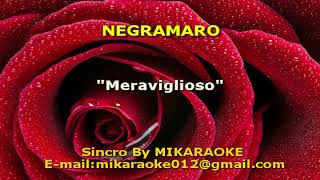 Negramaro Meraviglioso KARAOKE [upl. by Ahsei]