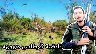 La chasse au maroc berkane HD  الصيد في المغرب [upl. by Snahc]