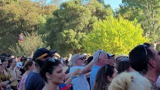 Melbourne Ska Orchestra at WOMADelaide 2022 [upl. by Sehguh]