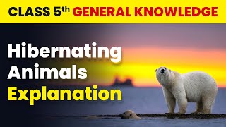 Hibernating Animals  Explanation  Class 5 General Knowledge  CBSE 202425 [upl. by Carolynn240]