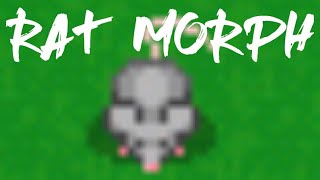 HOW TO GET RAT MORPH IN GRAAL ONLINE CLASSIC [upl. by Edmond]