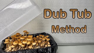 How to Grow Mushrooms Dub Tub Method [upl. by Ahtanoj329]